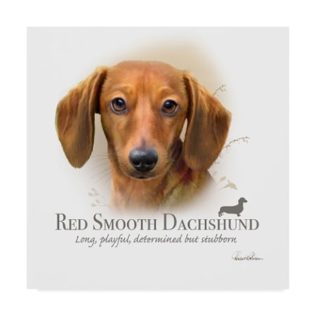 Howard Robinson 'Red Smooth Dachshund' Canvas Art,14x14